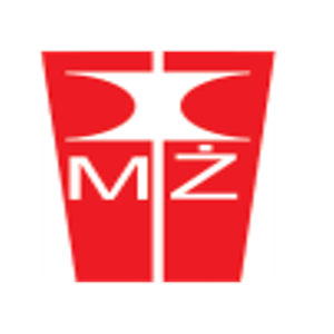 Logo Institute for Ferrous Metallurgy (IMZ)